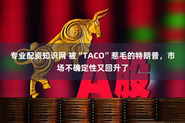 专业配资知识网 被“TACO”惹毛的特朗普，市场不确定性又回升了