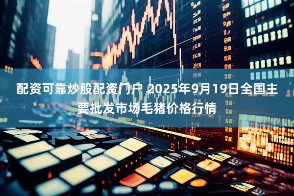 配资可靠炒股配资门户 2025年9月19日全国主要批发市场毛猪价格行情