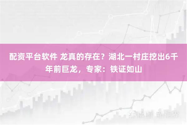 配资平台软件 龙真的存在？湖北一村庄挖出6千年前巨龙，专家：铁证如山